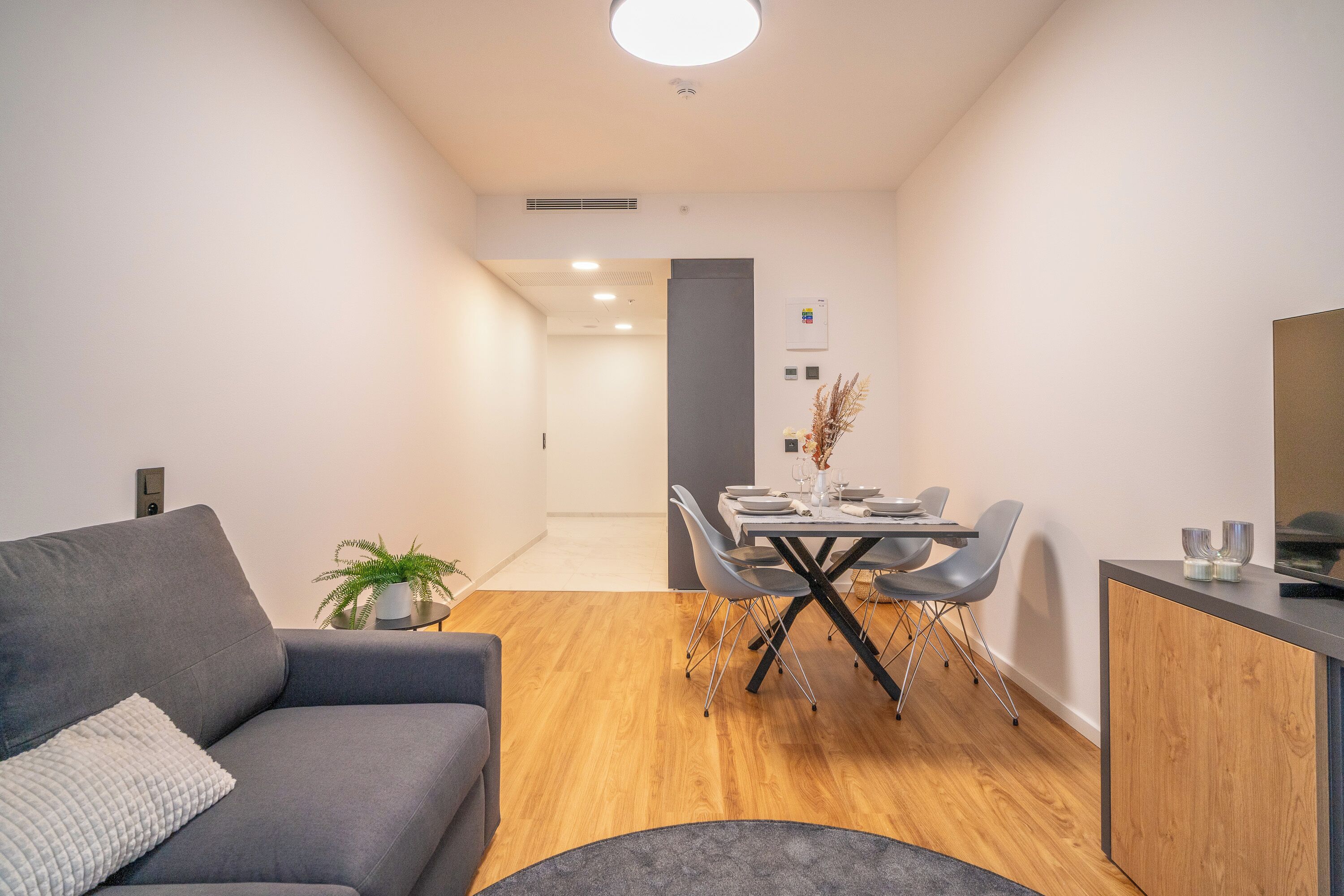 Ein modernes Wohnzimmer mit grauem Sofa, einem Esstisch mit Stühlen und einer kleinen Küchenzeile mit Fernseher.