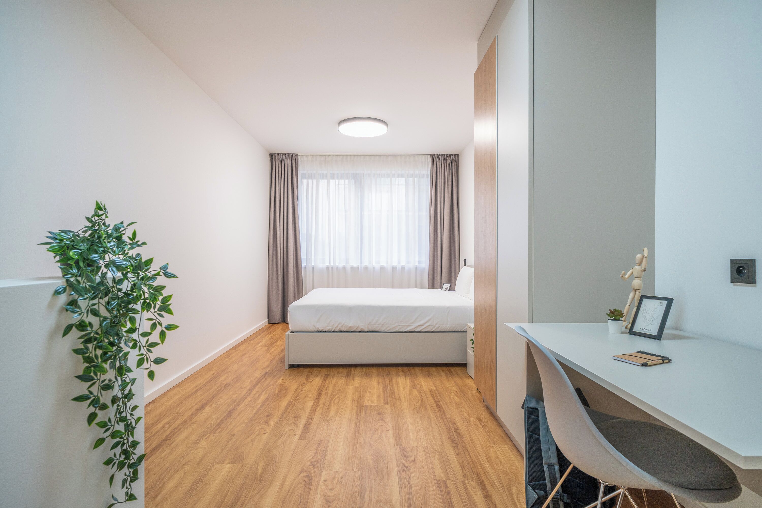 A modern bedroom with a bed, a desk, and a potted plant.