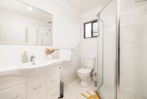 Shower, hair dryer, soap, shampoo