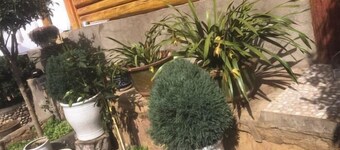 Wuhu Huguang Mountain House Inn