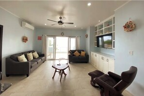 Älytelevisio, kirjoja