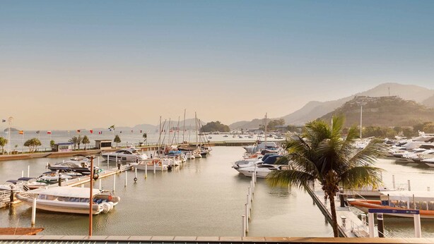 A marina with boats docked, a palm tree, and a mountain in the background. - Mares Suites by Angra Beach (Angra dos Reis)