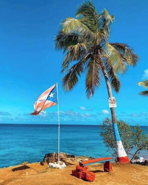Ein Strand mit einer Palme, einer Flagge und einer Bank.