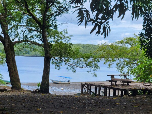 Dock - El Chontal (Sierpe)