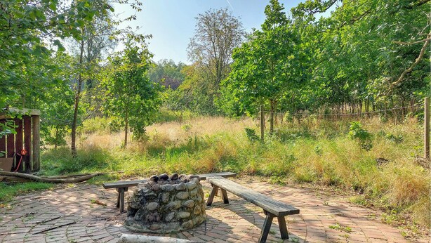 A rustic outdoor setting with a stone fire pit, wooden benches, and a small wooden structure.