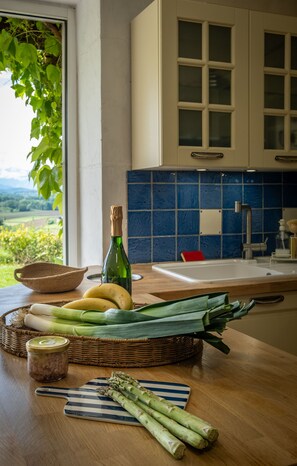 High chair - Bourdasse farmhouse with Pyrenees views, swimming pool, sauna and Nordic bath (SAUCEDE)