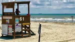 A lifeguard tower with a person inside, located on a sandy beach with the ocean in the background. - Isle B Back Cozy 1-bedroom condo with WiFi, AC in amazing Galveston (Galveston)