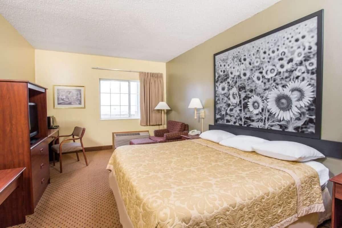 A hotel room with a large bed, a desk with a chair, a television, and a framed picture on the wall.