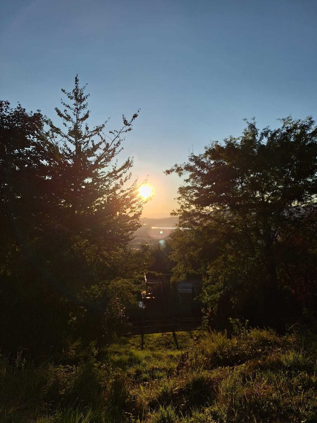 Paisaje natural con atardecer, árboles y una vista distante del agua.