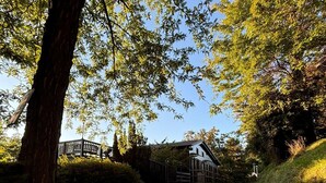 Un chemin de gravier mène à une maison rustique, entourée d’une clôture en bois et bordée d’un grand arbre sur le côté gauche.