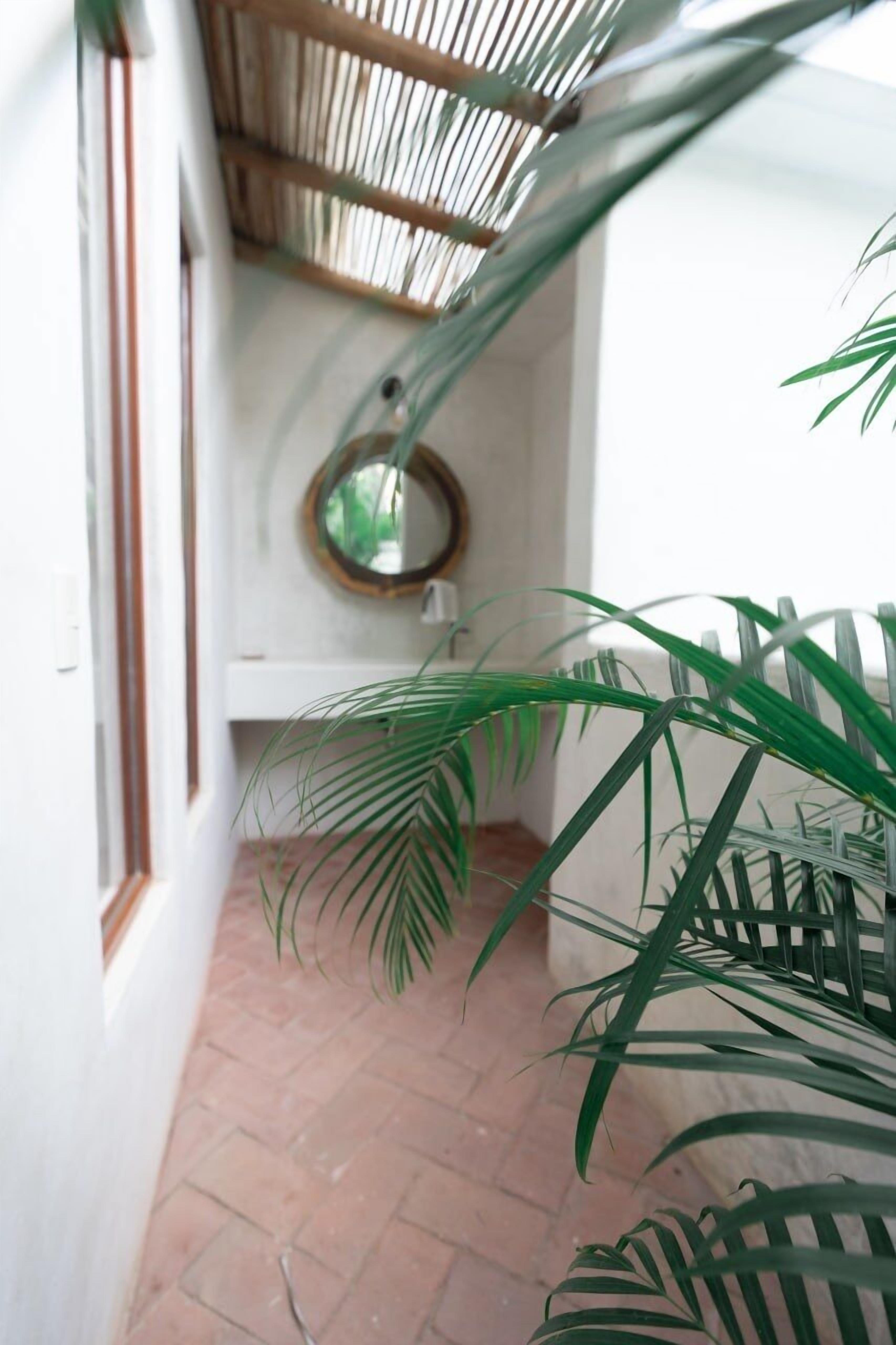 Foto - Casa Coconut