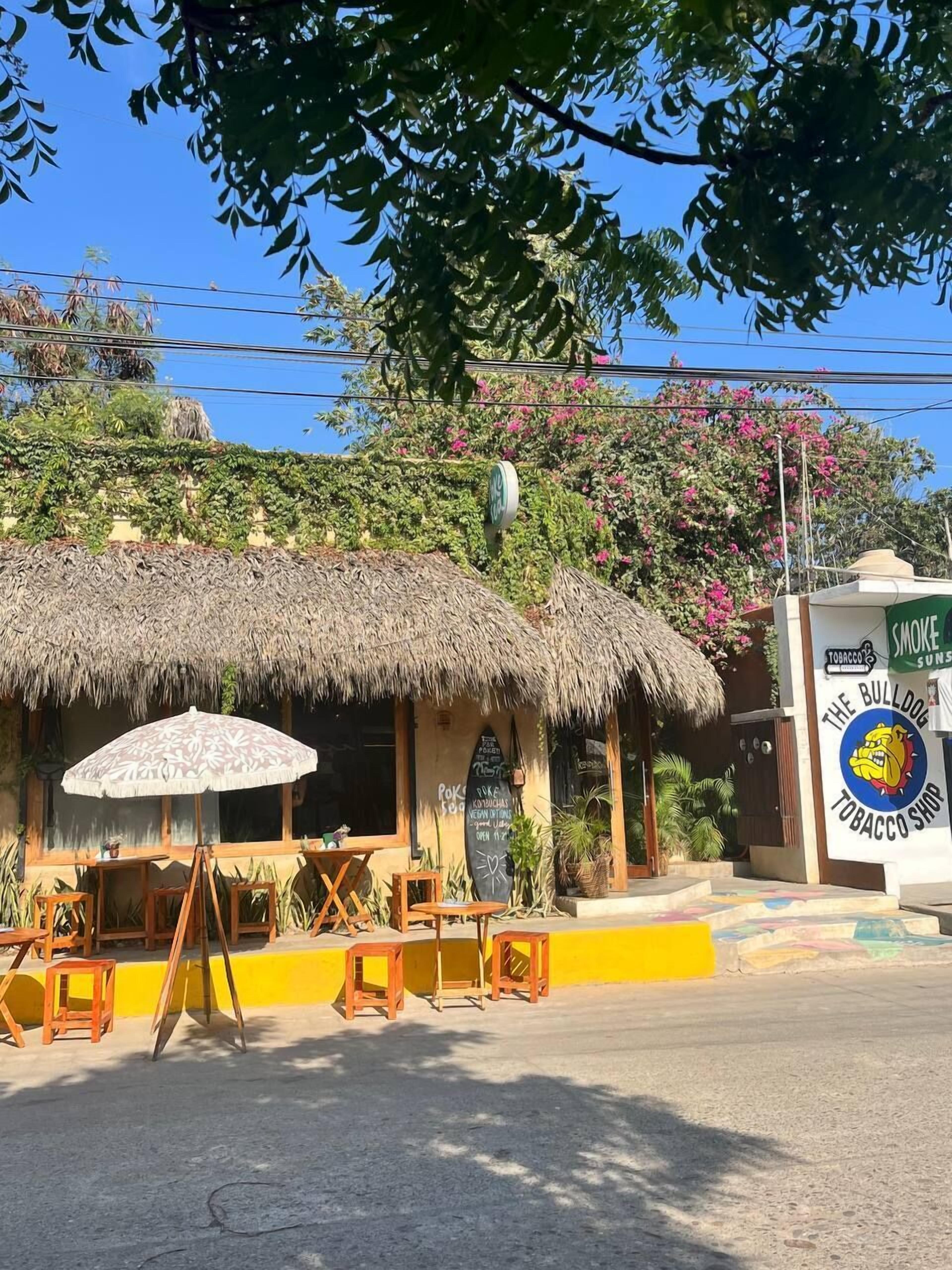 Foto - Casa Coconut