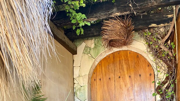 A wooden door with a stone archway, surrounded by lush green plants and a thatched roof. - Casa Coconut (Brisas de Zicatela)