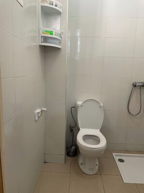 Shower, towels, shampoo, toilet paper
