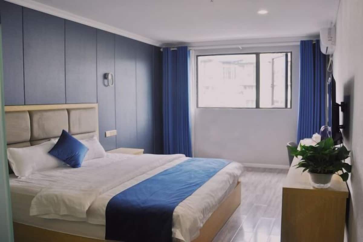 A modern hotel room with a large bed, a bedside table, a potted plant, and a window with curtains.