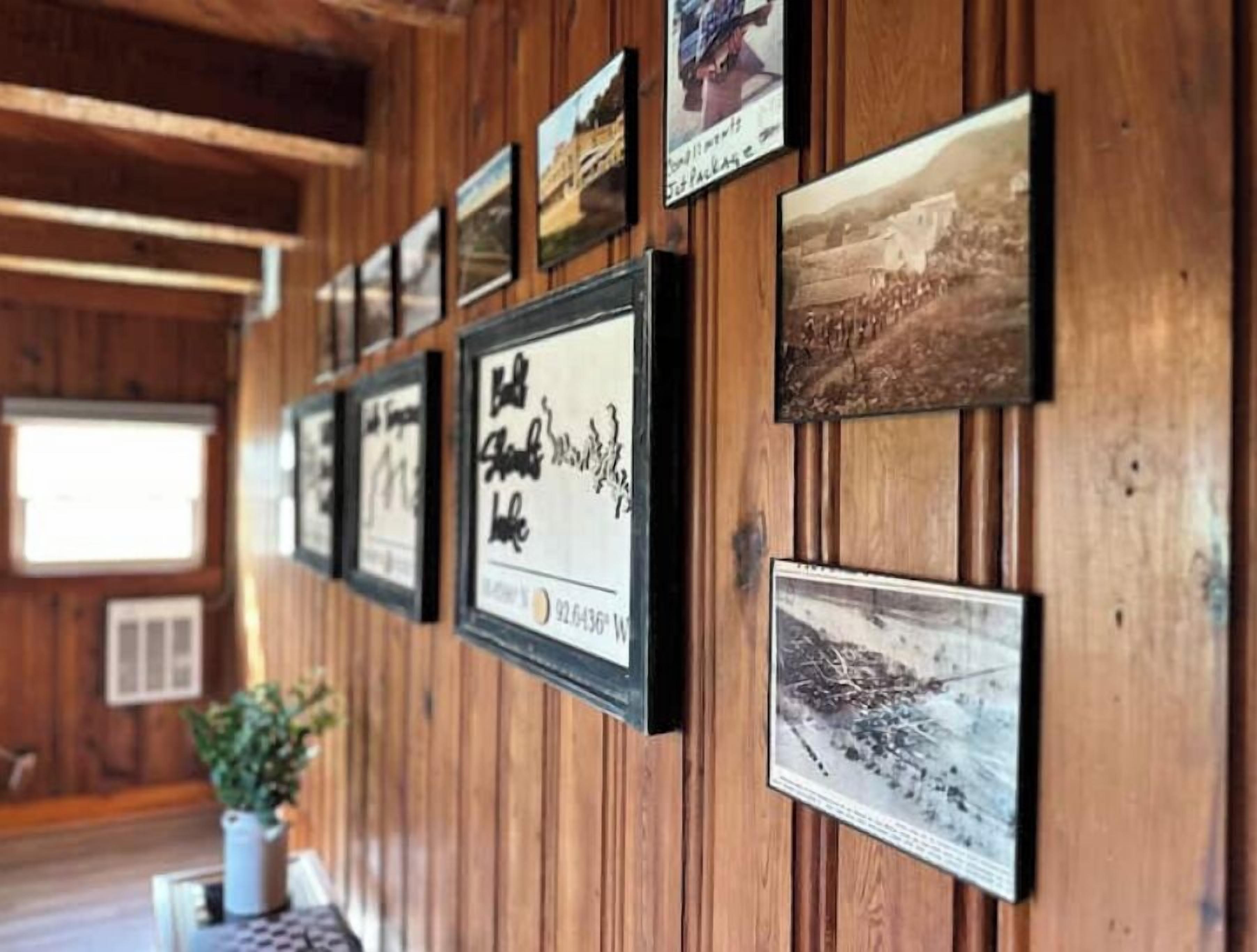 A wall with framed pictures and a potted plant.