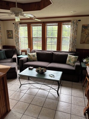 Smart TV, fireplace, video library