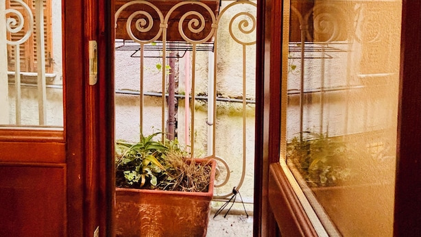 A wooden door leading to a balcony with a metal railing and a potted plant.