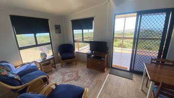 智能电视、DVD 播放器、书、影片库