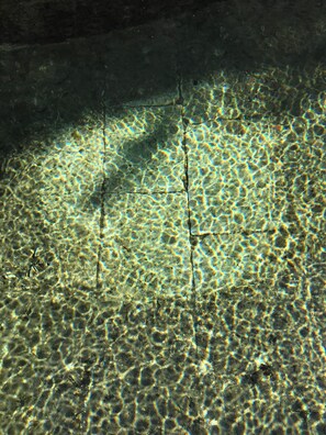 Divers