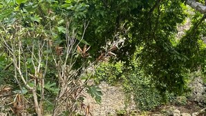 A wooden bench with a vase of pink flowers and a cup, overlooking a small water feature and greenery. - Cozy cottage in charming Les Andelys with AC, WiFi (Les Andelys)