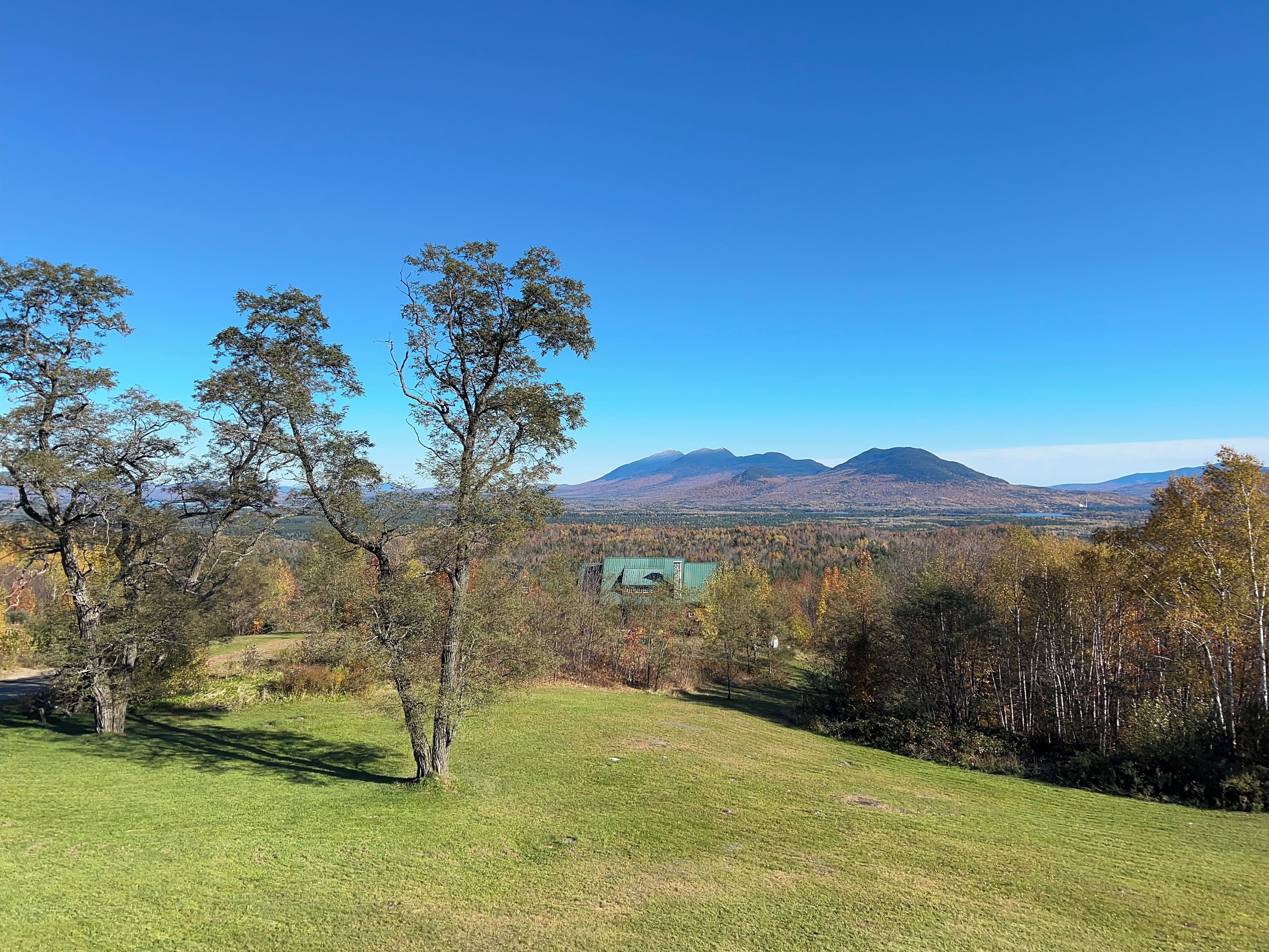 A grassy field with trees and a distant mountain range.