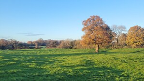 A grassy field with a single tree in the center and a clear blue sky. - Rural Cosy Cabin with Wood-Fired Hot Tub (Whitchurch)