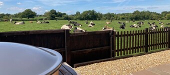 Rural Cosy Cabin with Wood-Fired Hot Tub