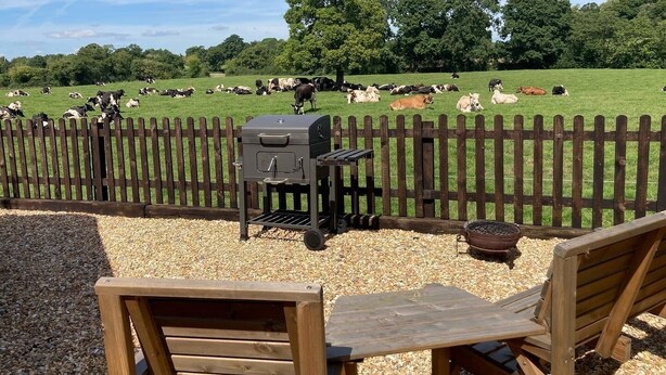 A wooden fence enclosing a grassy field with cows. - Rural Cosy Cabin with Wood-Fired Hot Tub (Whitchurch)