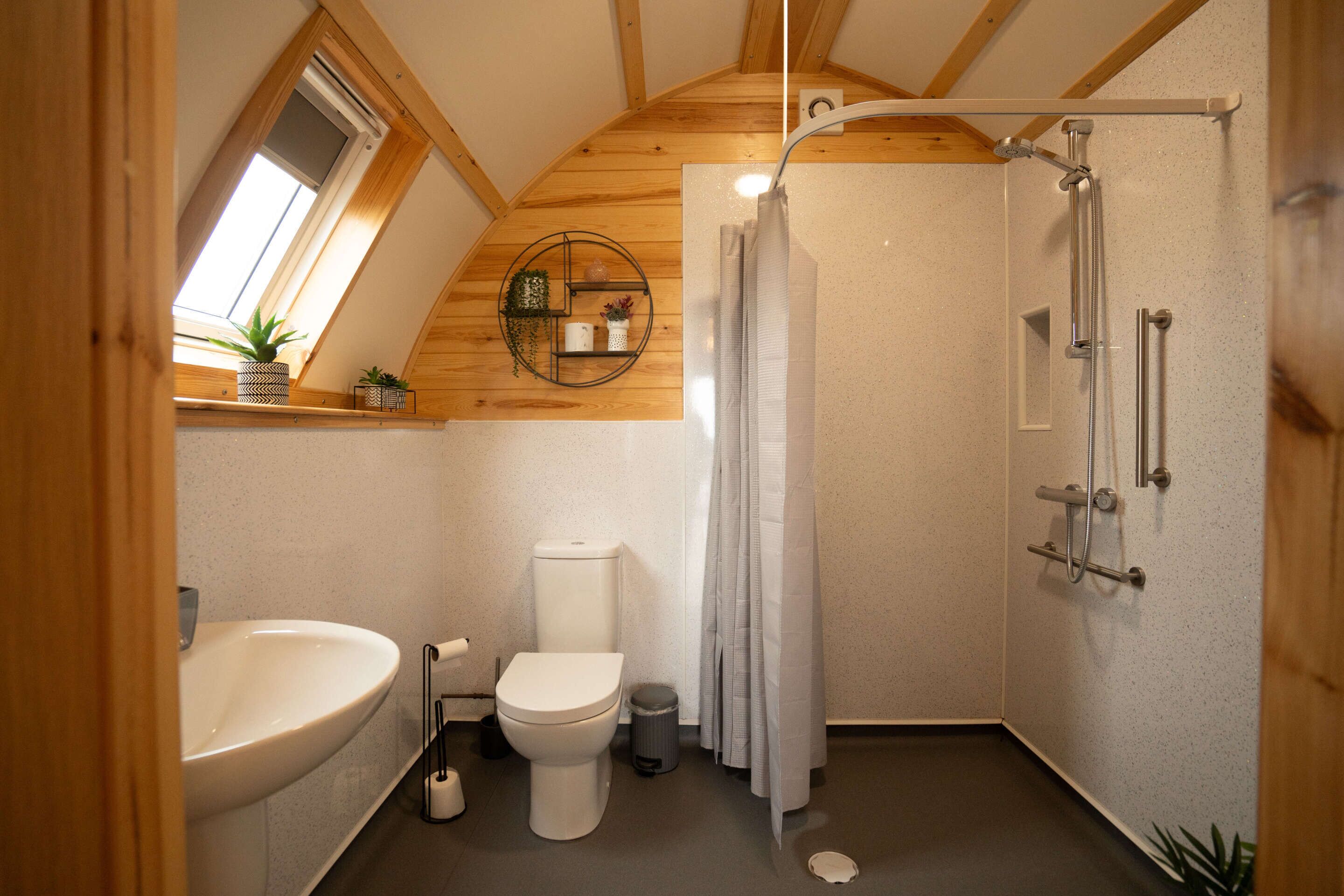 Shower, towels, soap, toilet paper