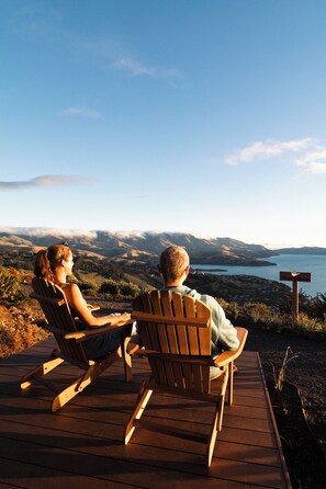 Property grounds - Kūkupa Matairangi at Akaroa Lavender (Duvauchelle)