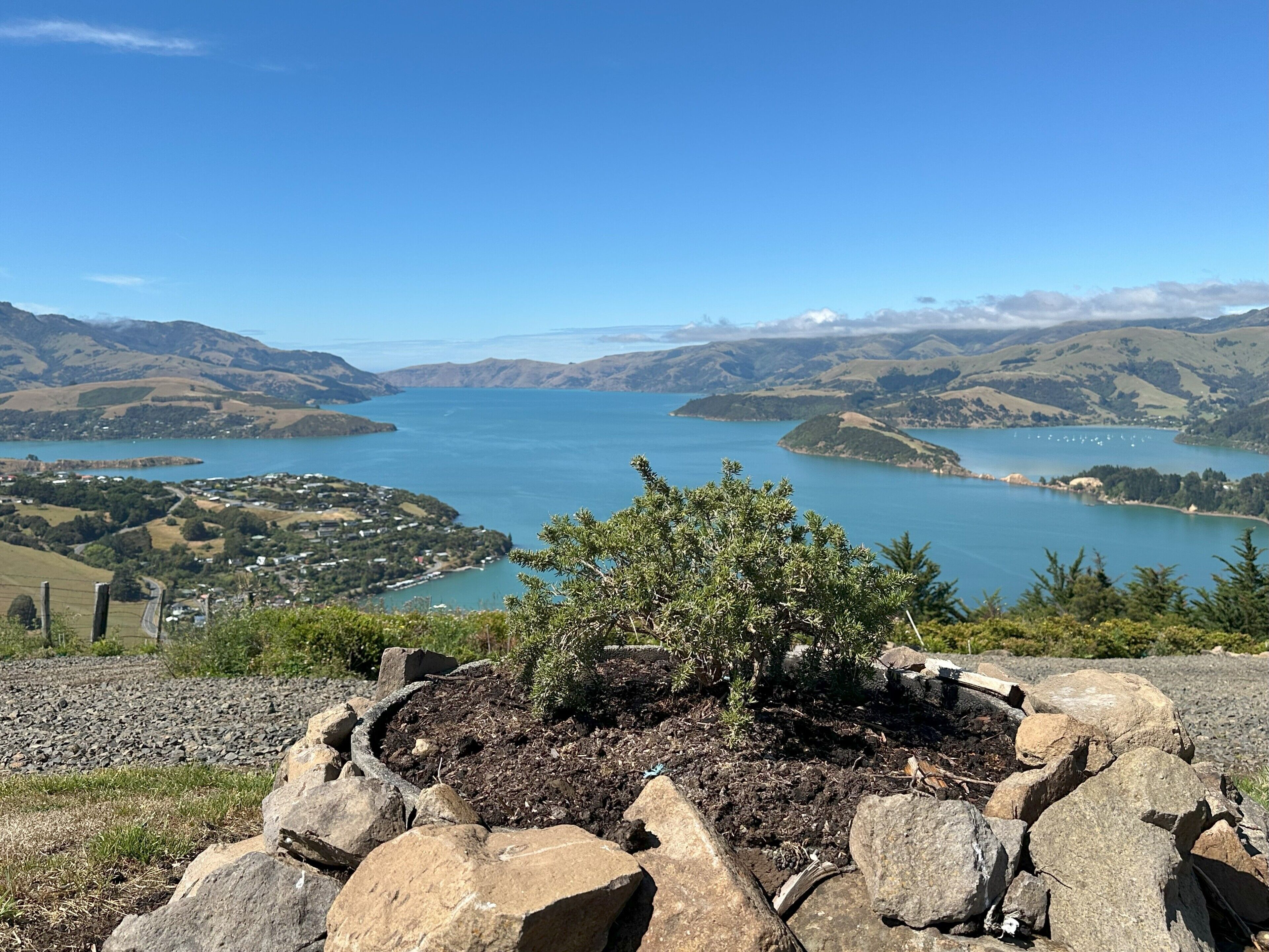 A rocky landscape with a small tree in the foreground, a lake, and distant hills.