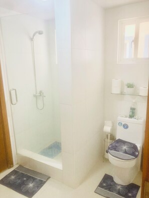 Shower, hair dryer, bidet, towels