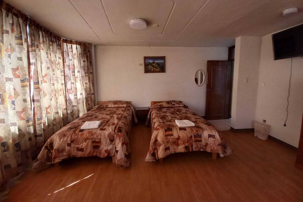 A room with two beds, a ceiling light, a painting, a mirror, a television, and a door.