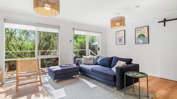 TV connectée, cheminée, lecteur de DVD, livres