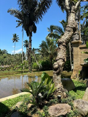 Villa, terras, uitzicht op zwembad | Uitzicht op de tuin