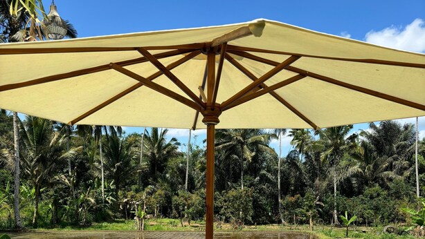 Ảnh chưa phân loại, 1 trong số 46 ảnh, nút
