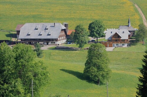 Holiday Apartment 'Mühlenblick' with Shared Balcony, Garden, and Farm Stay Experience