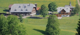 Obertalblick Apartment with Shared Terrace and Garden on a Farm Stay