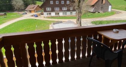 Apartment 'Hofblick' with Shared Garden, Balcony and Nature View, Farm Holiday