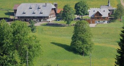 Apartment 'Hofblick' with Shared Garden and Balcony, Farm Holiday