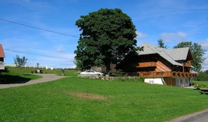 A rural setting with a large tree, a wooden house with a sloped roof, and a paved path.