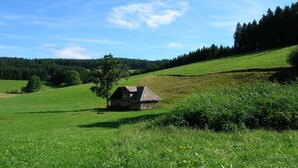 A rural landscape with a small wooden house on a grassy hill, surrounded by trees and open fields. - Holiday Apartment 'Untertalblick' with Shared Garden and Balcony, Farm Stay (Eisenbach)