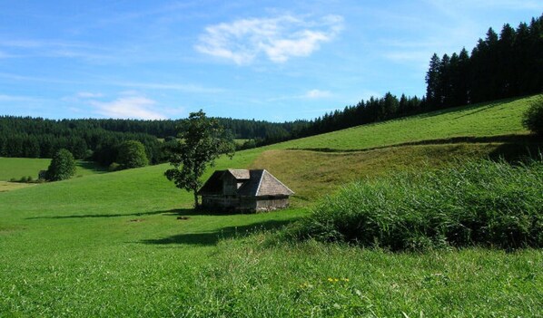 A rural landscape with a small wooden house on a grassy hill, surrounded by trees and open fields. - Holiday Apartment 'Untertalblick' with Shared Garden and Balcony, Farm Stay (Eisenbach)