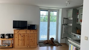 Huone, jossa on televisio, kaiuttimet, koira ja pieni keittiöalue.