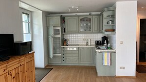 A compact kitchen with a built-in oven, a coffee maker, and a sink. - Studio Apartment 'Wohnung 1' with Private Terrace and Wi-Fi (Oberhof)