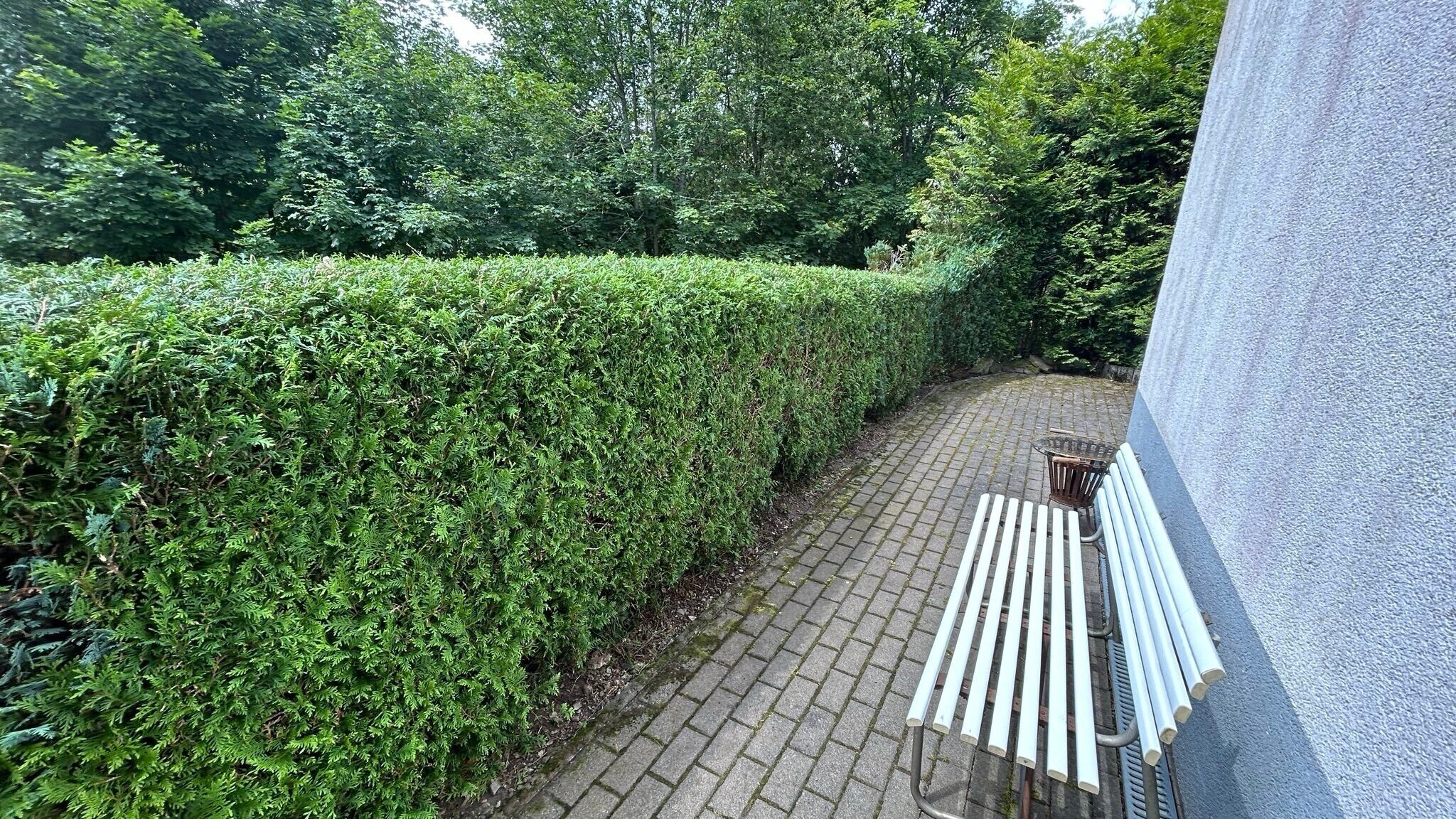 Un sendero pavimentado junto a un seto bien cuidado, una banca y un muro.