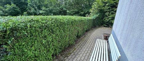 Un sendero pavimentado junto a un seto bien cuidado, una banca y un muro.