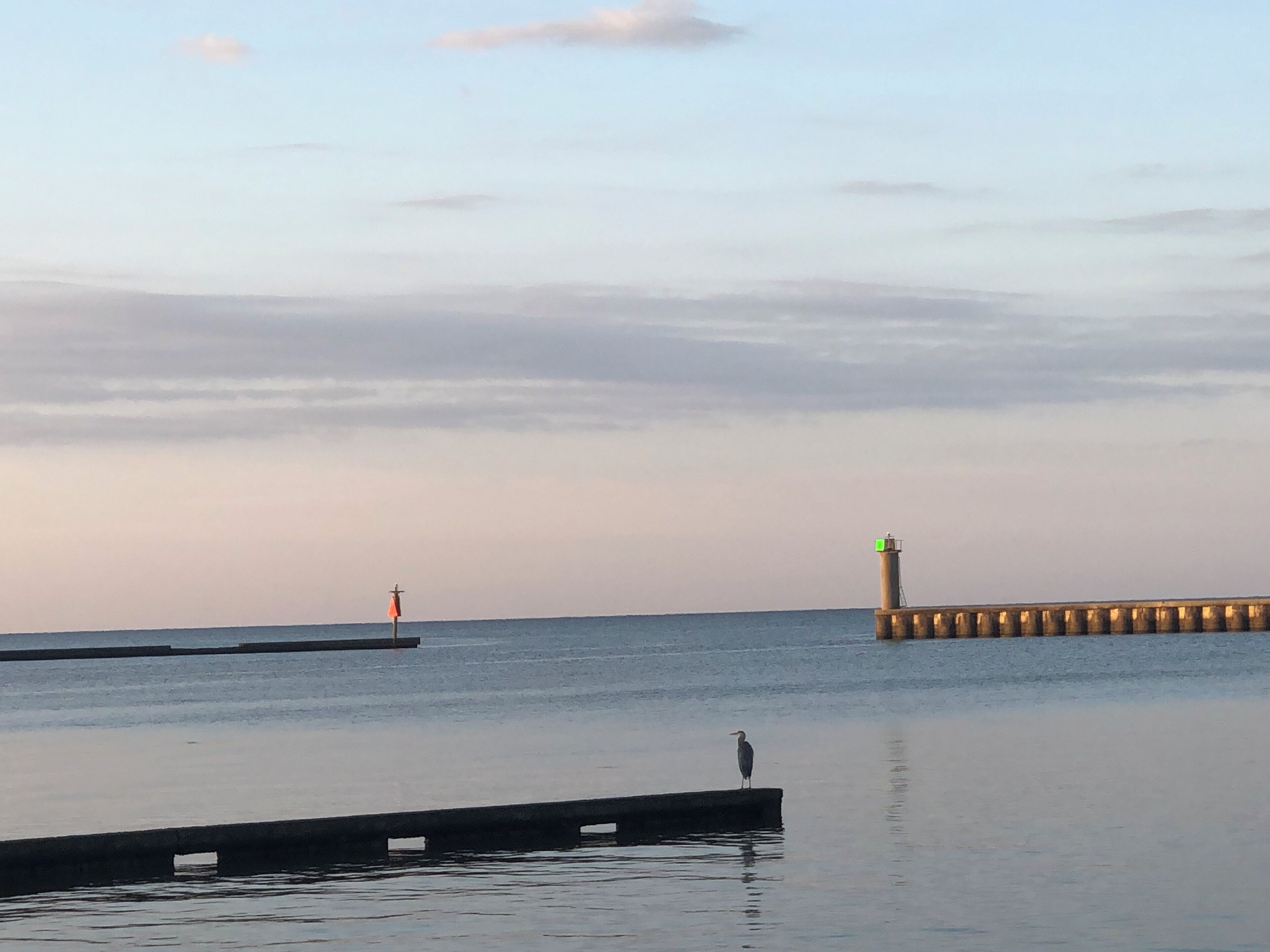 A calm waterfront scene with a pier extending into the water, a lighthouse in the distance, and a bird standing on the pier.