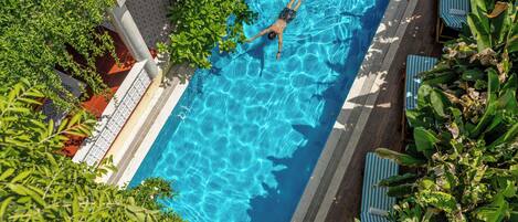 Una piscina al aire libre, sombrillas, sillones reclinables de piscina